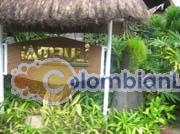 Philippine-Women-1327