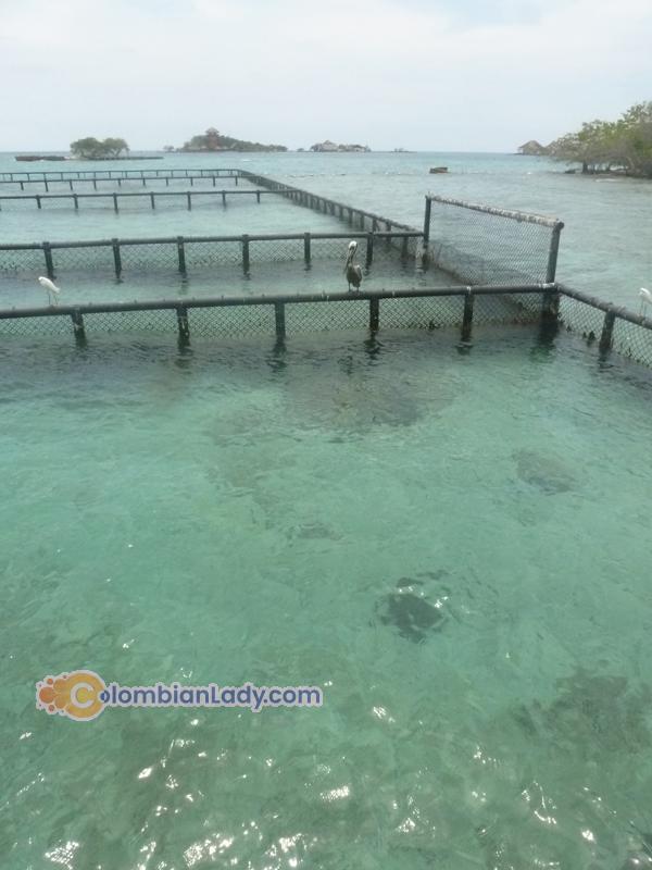 colombian-women-city-tour-46