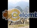 Machu-Picchu-013